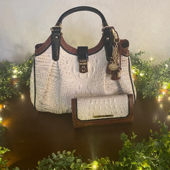 Brahmin - Picture 1 of 1